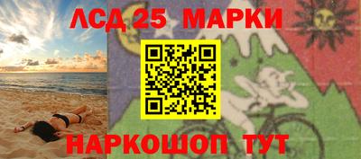 spice Кунгур