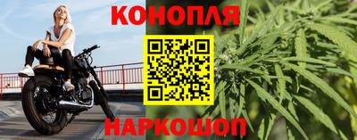 spice Кунгур