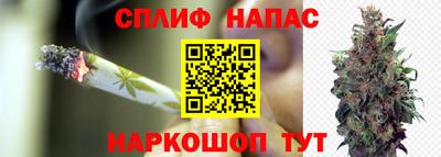spice Кунгур