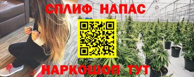 spice Кунгур