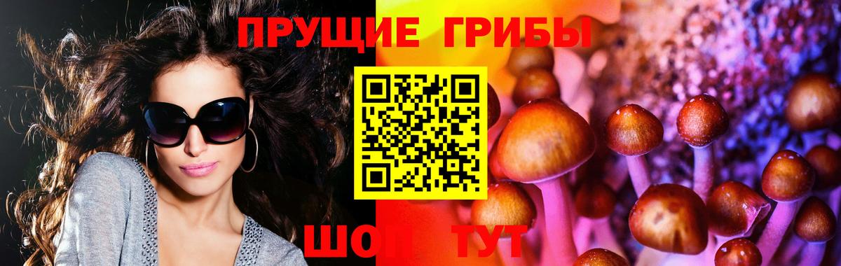 Галлюциногенные грибы Magic Shrooms Звенигород